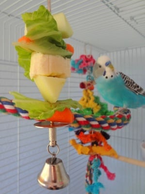 Какво ядат вълнистите папагалчета